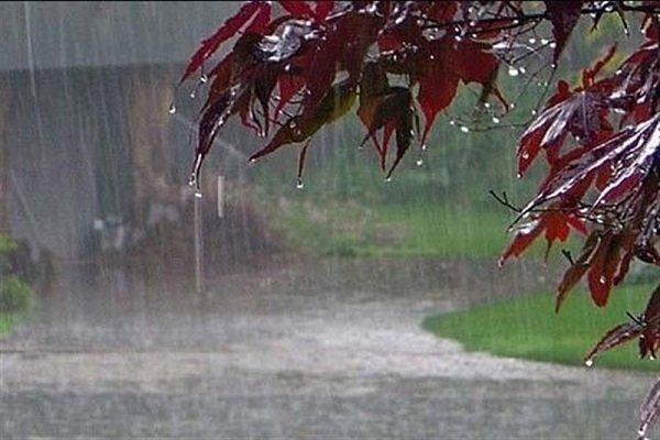 بارش باران در کشور,اخبار اجتماعی,خبرهای اجتماعی,محیط زیست