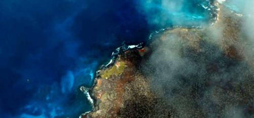 جزیره فلورینا در گالاپاگوس,اخبار علمی,خبرهای علمی,طبیعت و محیط زیست