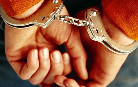 دستگیری اعضای یک شرکت هرمی در عباس آباد,اخبار اجتماعی,خبرهای اجتماعی,حقوقی انتظامی