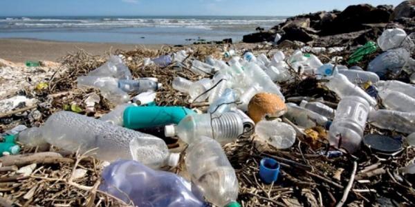 ظروف پلاستیکی,اخبار علمی,خبرهای علمی,طبیعت و محیط زیست