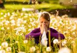 آلرژی در فصل بهار,اخبار پزشکی,خبرهای پزشکی,مشاوره پزشکی