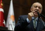 رجب طیب اردوغان,اخبار سیاسی,خبرهای سیاسی,خاورمیانه