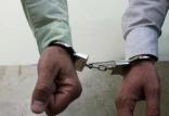 دستگیری عاملان جنایت مسلحانه,اخبار حوادث,خبرهای حوادث,جرم و جنایت