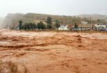 سیل در کوهدشت,اخبار حوادث,خبرهای حوادث,حوادث طبیعی