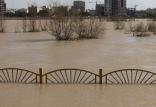سیل در خوزستان,اخبار حوادث,خبرهای حوادث,حوادث طبیعی