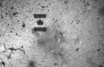 پرتاب گلوله مسی به سمت سیارک ریوگو,اخبار علمی,خبرهای علمی,نجوم و فضا
