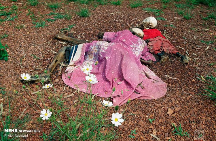 عکس های سالگرد کشتار رواندا‎,تصاویر نسل کشی رواندا,عکسهای قتل عام در توتس