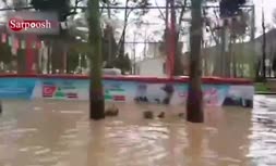 ویدئو/ پارک شهر خرم آباد زیر آب رفت