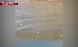 فیلم/ روستای «بُنده» سوسنگرد خوزستان زیر سیلاب 