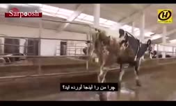 فیلم/ عزل استاندار و دستیار رئیس جمهور وسط گاوداری در بلاروس!