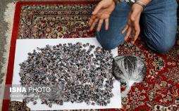 تصاویر طرح رعد در سال ۱۳۹۸,عکس های طرح رعد در سال ۱۳۹۸,تصاویر دومین مرحله ی طرح رعد