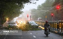 عکس طوفان تهران,تصاویر طوفان تهران،عکس خسارات طوفان تهران