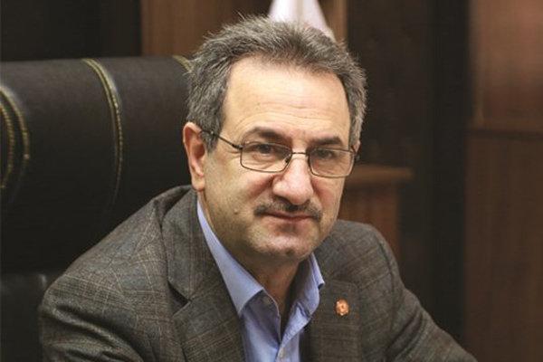 انوشیروان محسنی,اخبار اجتماعی,خبرهای اجتماعی,شهر و روستا