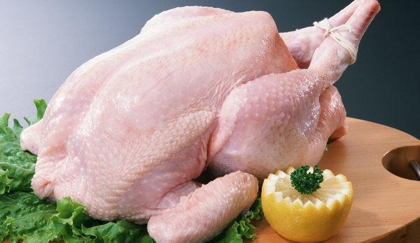 مرغ مرغ,اخبار اقتصادی,خبرهای اقتصادی,کشت و دام و صنعت