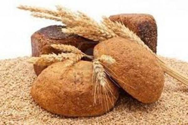 خرید تضمینی گندم ۳۳درصد افزایش یافت