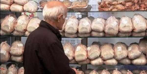 مرغ مرغ,اخبار اقتصادی,خبرهای اقتصادی,کشت و دام و صنعت