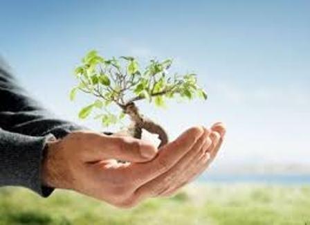 محیط زیست محیط زیست,اخبار علمی,خبرهای علمی,طبیعت و محیط زیست