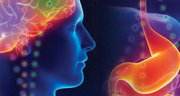 تاثیر چاقی بر مغز تاثیر چاقی بر مغز,اخبار پزشکی,خبرهای پزشکی,تازه های پزشکی