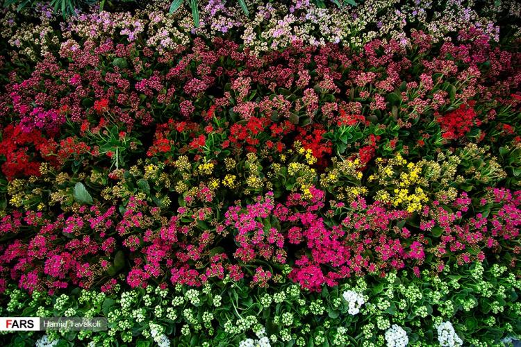 عکس نمایشگاه گل و گیاه,تصاویرنمایشگاه گل و گیاه,عکس افتتاح نمایشگاه گل و گیاه تهران