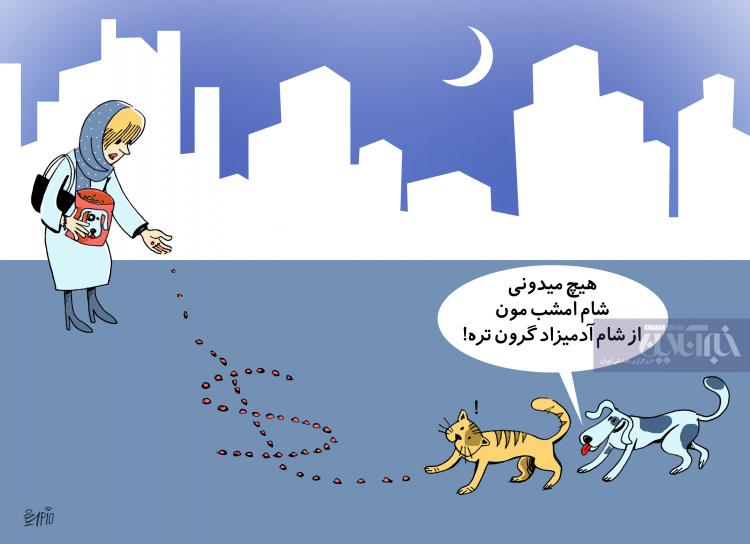 کارتون واردات غذای سگ و گربه,کاریکاتور,عکس کاریکاتور,کاریکاتور اجتماعی