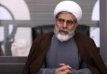 محسن رهامی,اخبار سیاسی,خبرهای سیاسی,احزاب و شخصیتها