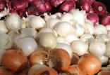 کاهش قیمت پیاز و 7 محصول دیگر در میادین میوه و تره بار قیمت پیاز,اخبار اقتصادی,خبرهای اقتصادی,کشت و دام و صنعت