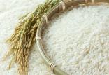 هیچ دلیلی برای افزایش قیمت برنج نیست/ بازار صاحب ندارد قیمت برنج,اخبار اقتصادی,خبرهای اقتصادی,کشت و دام و صنعت