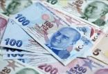 پول ملی ترکیه,اخبار اقتصادی,خبرهای اقتصادی,اقتصاد جهان