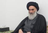 علی حسینی سیستانی,اخبار مذهبی,خبرهای مذهبی,علما