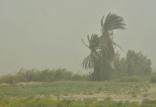 وزش باد درجنوب شرق کشور,اخبار اجتماعی,خبرهای اجتماعی,وضعیت ترافیک و آب و هوا