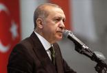 اردوغان,اخبار سیاسی,خبرهای سیاسی,خاورمیانه