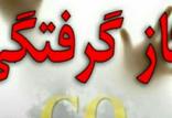 گازگرفتی,اخبار حوادث,خبرهای حوادث,حوادث امروز