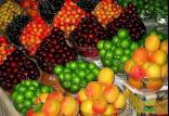 میوه‌,اخبار اقتصادی,خبرهای اقتصادی,کشت و دام و صنعت