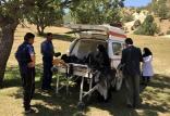 زنده شدن پیرزن,اخبار حوادث,خبرهای حوادث,حوادث امروز