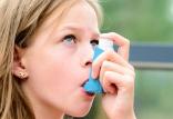 بیماری آسم,اخبار پزشکی,خبرهای پزشکی,بهداشت