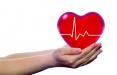 سامانه رجیستری پیوند قلب و کبد,اخبار پزشکی,خبرهای پزشکی,بهداشت