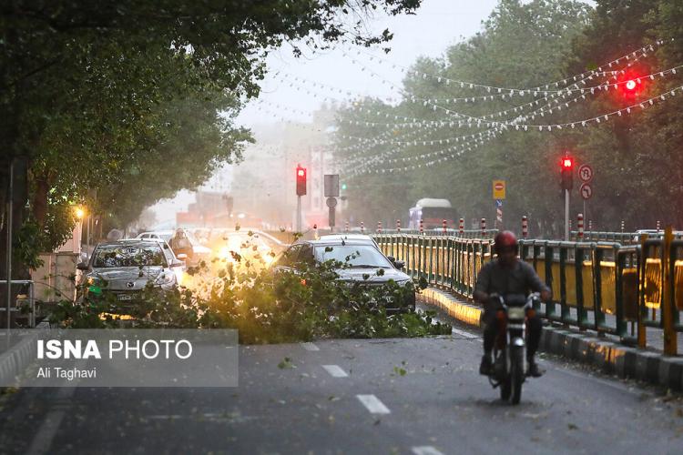 عکس طوفان تهران,تصاویر طوفان تهران،عکس خسارات طوفان تهران