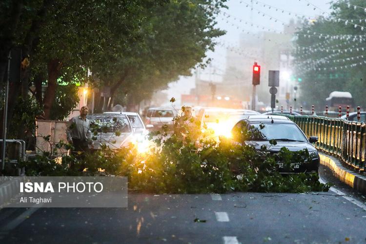 عکس طوفان تهران,تصاویر طوفان تهران،عکس خسارات طوفان تهران