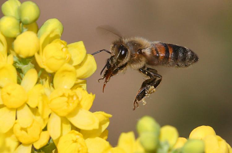تصاویر روز جهان,عکس های دیدنی روز,تصاویر چهارگوشه جهان