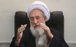 لوایح FATF در دستور کار کمیسیون هاست جواد مجتهد شبستری,اخبار سیاسی,خبرهای سیاسی,اخبار سیاسی ایران