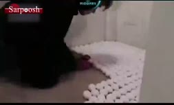 فیلم/ اگر خانه را با تخم مرغ فرش کنید چه اتفاقی می‌افتد؟