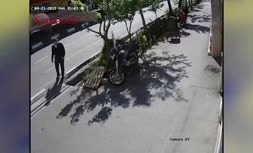 ویدئو/ سرقت تلفن‌همراه در خیابان کریمخان تهران