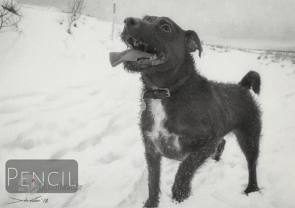 آثارهنری جان فیشر,اخبار هنرهای تجسمی,خبرهای هنرهای تجسمی,هنرهای تجسمی