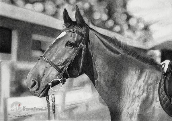 آثارهنری جان فیشر,اخبار هنرهای تجسمی,خبرهای هنرهای تجسمی,هنرهای تجسمی