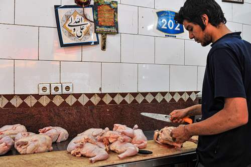 مرغ ممتاز,اخبار اقتصادی,خبرهای اقتصادی,کشت و دام و صنعت