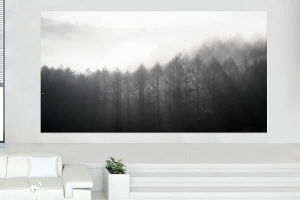 تلویزیون های سری The Wall,اخبار دیجیتال,خبرهای دیجیتال,گجت