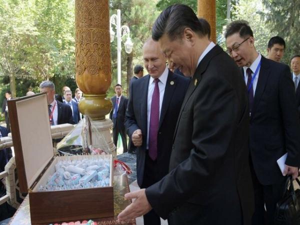 هدیه تولد پوتین به شی جینپینگ,اخبار سیاسی,خبرهای سیاسی,سیاست