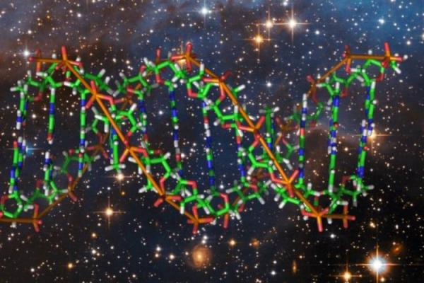 آزمایش ویرایش DNA در فضا آزمایش ویرایش DNA در فضا,اخبار علمی,خبرهای علمی,نجوم و فضا