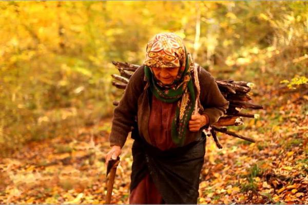 فیلم مستند دلبند,اخبار هنرمندان,خبرهای هنرمندان,جشنواره