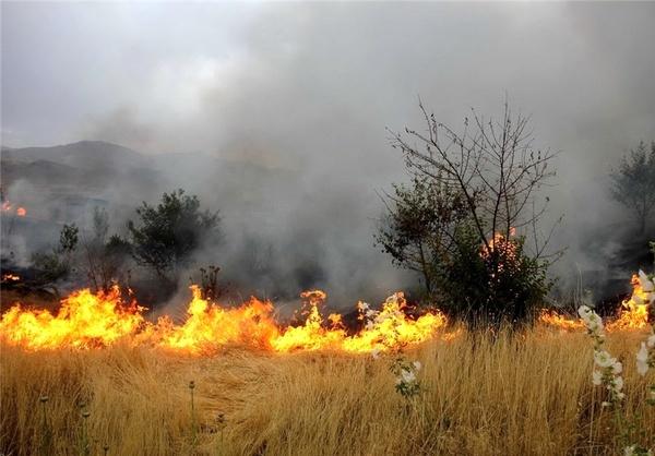 آتش سوزی ها در جنگل‌ها و مراتع,اخبار اجتماعی,خبرهای اجتماعی,محیط زیست